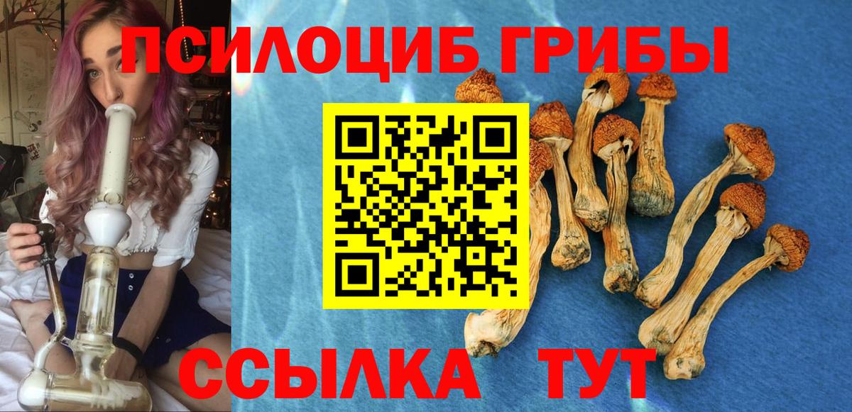 Псилоцибиновые грибы Magic Shrooms Батайск