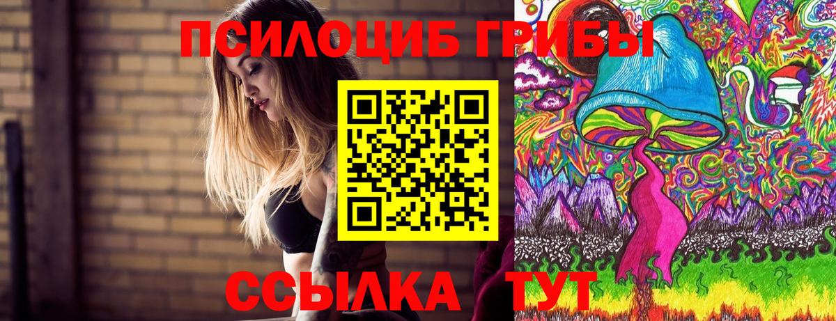 Батайск  Галлюциногенные грибы MAGIC MUSHROOMS  Вход с VPN 